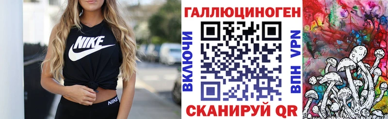 Псилоцибиновые грибы Cubensis  Вилючинск 